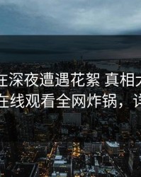 圈内人在深夜遭遇花絮 真相大白，蘑菇影视在线观看全网炸锅，详情点击