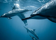 两个人晚上怎么玩,两个人晚上有什么娱乐活动