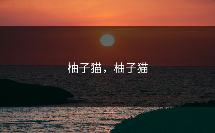 柚子猫，柚子猫