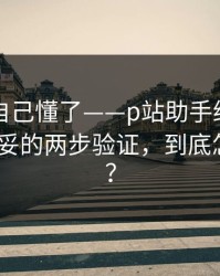 我以为自己懂了——p站助手终于能用了-最稳妥的两步验证，到底怎么回事？