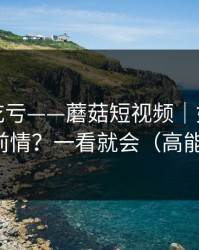 不看会吃亏——蘑菇短视频｜如何快速补完前情？一看就会（高能预警）