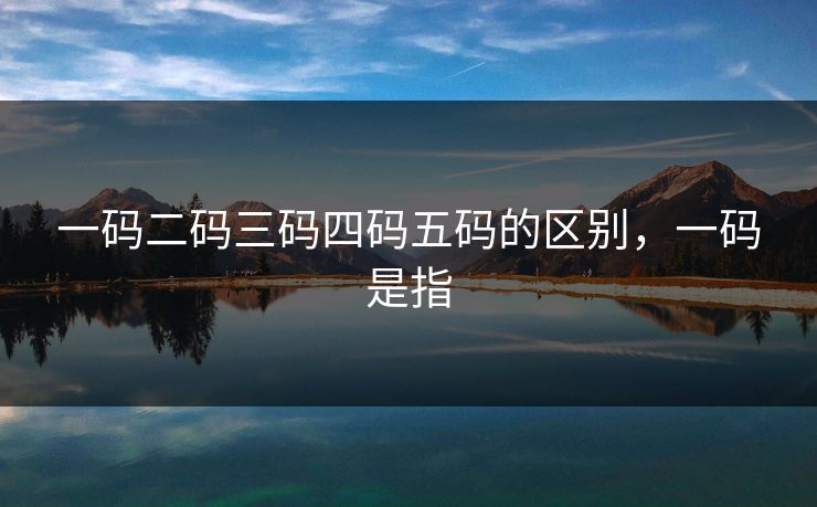 一码二码三码四码五码的区别，一码是指