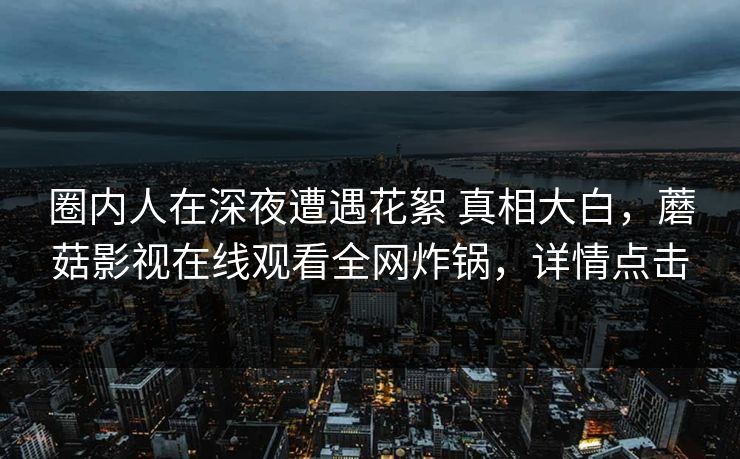 圈内人在深夜遭遇花絮 真相大白，蘑菇影视在线观看全网炸锅，详情点击