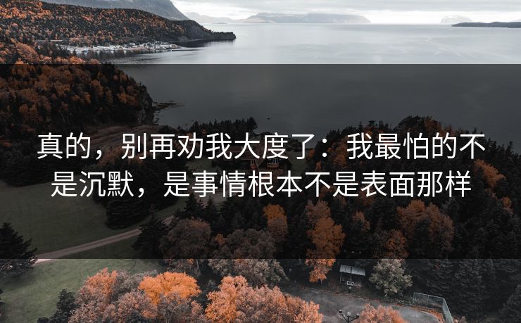 真的,别再劝我大度了:我最怕的不是沉默,是事情根本不是表面那样 真的,别再劝我大度了:我最怕的不是沉默,是事情根本不是表面那样