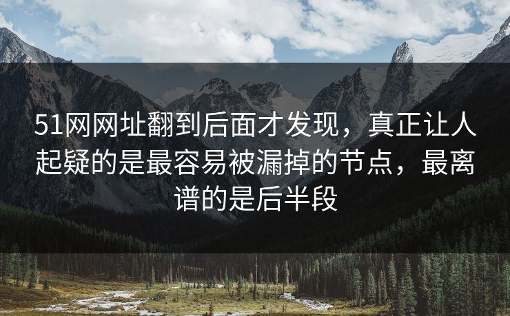 51网网址翻到后面才发现，真正让人起疑的是最容易被漏掉的节点，最离谱的是后半段